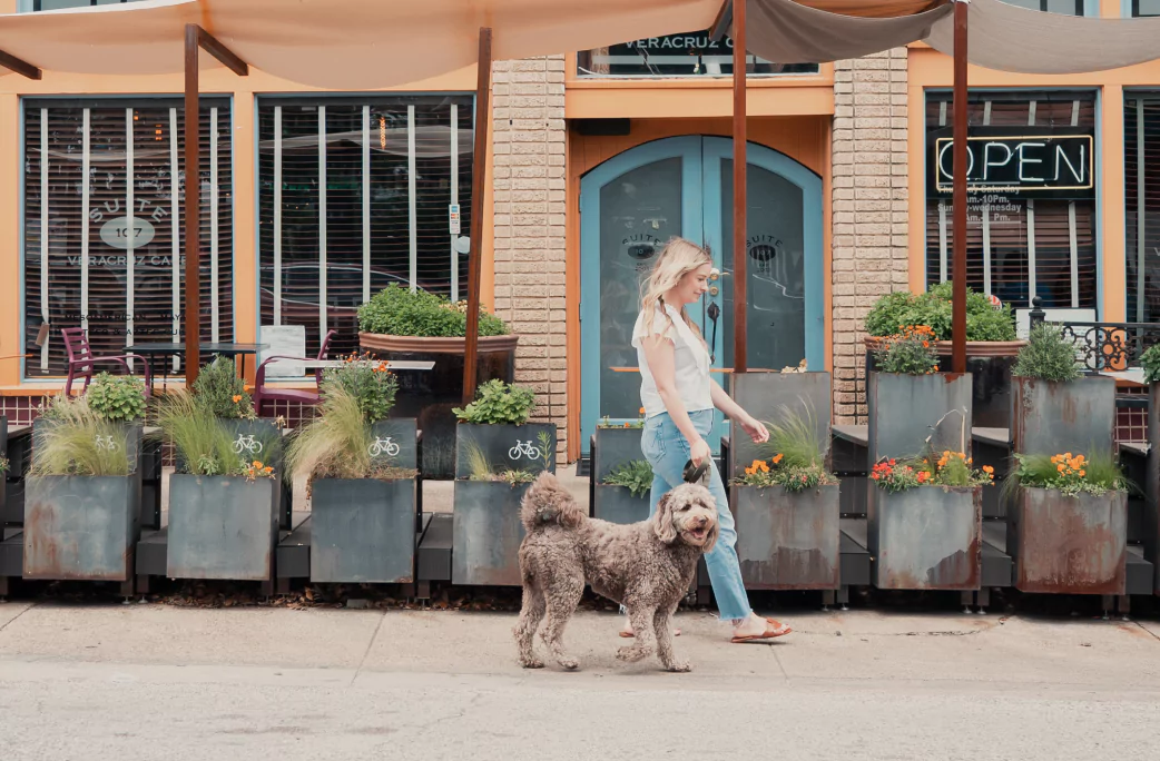 Woman and Dog Walking Together