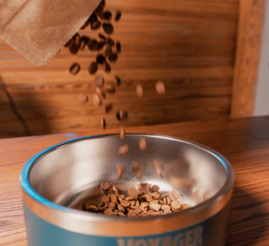 Dog Food Being Poured Into Bowl